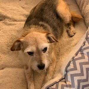 Meet your Posher, Karla